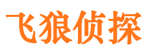 团城山侦探